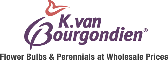 K. van Bourgondien